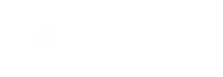 VIGILANT VISION
